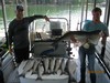 (06/07/2018) - Nice Striped Bass